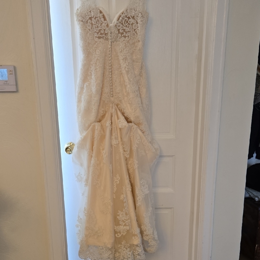 Maggie Sottero Couture Cream Gown - Picture 6 of 9
